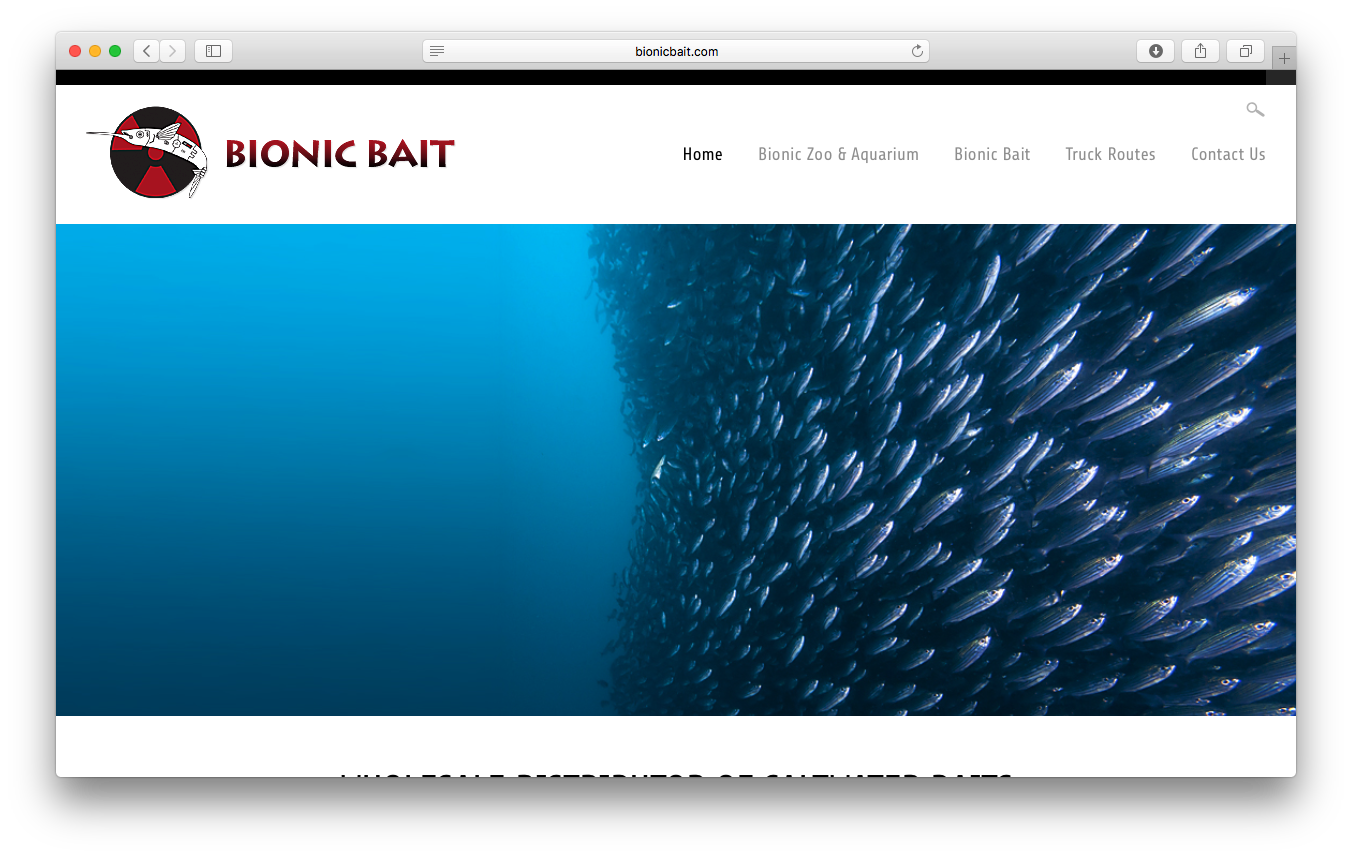 www.bionicbait.com